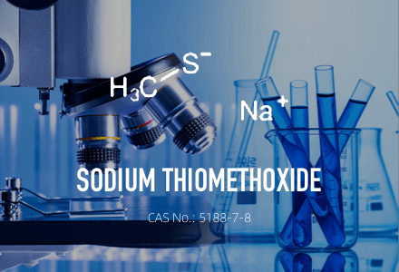 Tiometóxido de sodio/CAS 5188-7-8